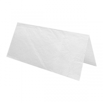 SERVIETTES ESSUIE-MAINS 2 PLIS - PLIAGE EN "Z"  22x38 CM BLANC OUATE (2500 UNITÉ) - Garcia de Pou