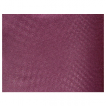 SETS DE TABLE "SPUNBOND" 60 G/M2 30x40 CM VIOLET PP (800 UNITÉ) - Garcia de Pou