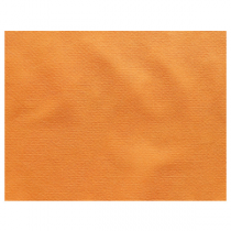 SETS DE TABLE "SPUNBOND" 60 G/M2 30x40 CM ORANGE PP (800 UNITÉ) - Garcia de Pou