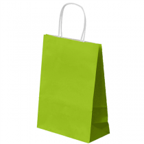 SACS SOS AVEC ANSES  80 G/M2 26+14x32 CM VERT ANIS CELLULOSE (250 UNITÉ) - Garcia de Pou