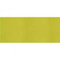 "T&Ecirc;TE-&Agrave;-T&Ecirc;TE" PLIAGE 1/2  55 G/M2 40x120 CM KIWI AIRLAID (400 UNIT&Eacute;)
