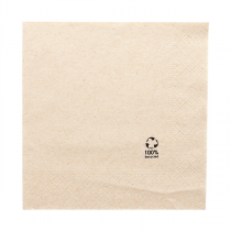 SERVIETTES ECOLABEL 2 PLIS  18 G/M2 30x30 CM NATUREL OUATE RECYCLÉE (2400 UNITÉ) - Garcia de Pou