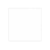 PAPIER INGRAISSABLES BASKET PFAS FREE  35 G/M2 31x31 CM BLANC PARCH.INGRAISSABLE (1000 UNIT&Eacute;)