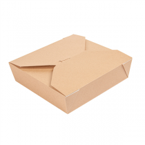 BOÎTES AMÉRICAINES MICRO-ONDABLES "THEPACK" 2910 ML 240 + 12PP G/M2 21,7x21,7x6 CM NATUREL CARTON ONDULÉ NANO-MICRO (100 UNITÉ) - Garcia de Pou