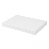 COUVERCLES SANS FENÊTRE POUR BOÎTES 254.71 "THEPACK" 250 G/M2 22x15x2 CM BLANC CARTON ONDULÉ NANO-MICRO (50 UNITÉ) - Garcia de Pou