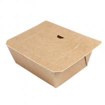 BARQUETTES AVEC COUVERCLES THERMO FIXANTES "THEPACK" 505 ML 215 G/M2 + PE 16,1x12,9x4,3 CM NATUREL CARTON ONDUL&Eacute; NANO-MICRO (400 UNIT&Eacute;)