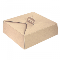 BO&Icirc;TES &Agrave; G&Acirc;TEAUX AVEC POIGN&Eacute;ES THEPACK  34x34x10 CM NATUREL CARTON NANO-MICRO (100 UNIT&Eacute;)