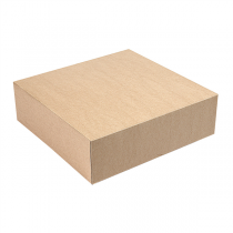 BO&Icirc;TES PATISSERIES SANS FEN&Ecirc;TRE THEPACK  20x20x5 CM NATUREL CARTON NANO-MICRO (200 UNIT&Eacute;)