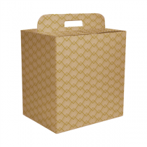 BO&Icirc;TES BOUTEILLES/AUTRES "THEPACK &Eacute;CLAT"  565 G/M2 33x25x35 CM NATUREL CARTON MICROCANAL (30 UNIT&Eacute;)