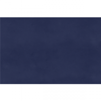 SETS DE TABLE PLIAGE M SPUNBOND  60 G/M2 160 x 240 CM BLEU MARINE PP (40 UNIT&Eacute;)