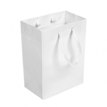 SACS BOUTIQUE ANSES CORDON  150 G/M2 12+7x16 CM BLANC CELLULOSE (100 UNIT&Eacute;)