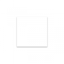 Papier burger blanc 31x38cm ingraissable