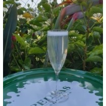Flute a champagne INCASSABLE & RÉUTILISABLE EN TRITAN 15/17CL - PERSONNALISÉ EN 1 COULEUR