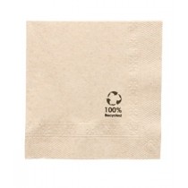 SERVIETTE COCKTAIL ECOLOGIQUE 2 PLIS 20x20 