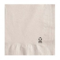 SERVIETTES Recyclée Ouate 2 plis 30x30 