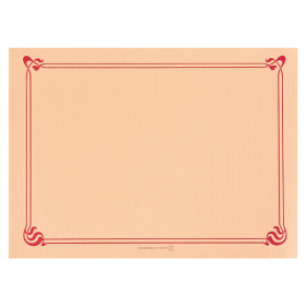 SETS DE TABLE  48 G/M2 31x43 CM SAUMON CELLULOSE (2000 UNITÉ) - Garcia de Pou
