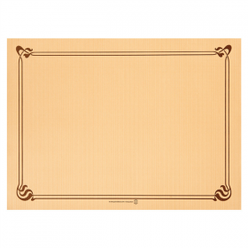 SETS DE TABLE  48 G/M2 31x43 CM CARAMEL CELLULOSE (2000 UNITÉ) - Garcia de Pou