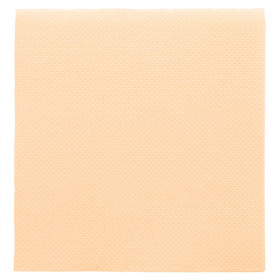 SERVIETTES ECOLABEL "DOUBLE POINT" 18 G/M2 20x20 CM IVOIRE OUATE (2400 UNITÉ) - Garcia de Pou