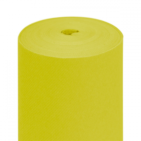 "TÊTE-À-TÊTE" PRÉ. 120CM (20 FEU.)  55 G/M2 0,40x24 M KIWI AIRLAID (6 UNITÉ) - Garcia de Pou