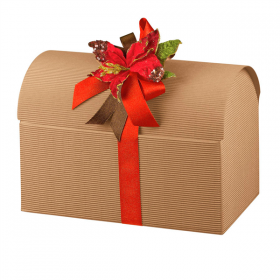 20 U. COFFRETS  38x23x25 CM NATUREL KRAFT (1 UNITÉ) - Garcia de Pou