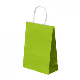 SACS SOS AVEC ANSES  80 G/M2 20+10x29 CM VERT ANIS CELLULOSE (250 UNITÉ) - Garcia de Pou