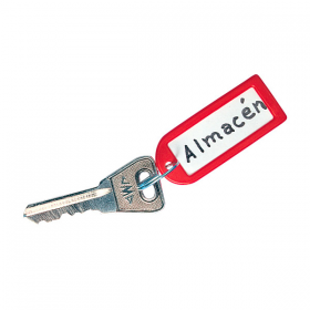 PORTE-CLÉS AVEC ÉTIQUETTE  5,2x2,2 CM ASSORTI PLASTIQUE (100 UNITÉ) - Garcia de Pou