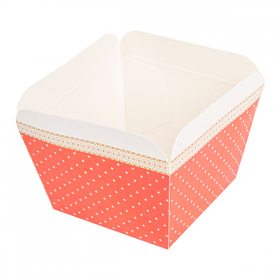 DELI-BARQUETTES  210 + 15 PE G/M2 4,8x4,8x4,9 CM ASSORTI CARTON (2000 UNITÉ) - Garcia de Pou