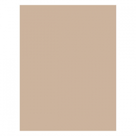 PAPIER INGRAISSABLES FAST FOOD  34 G/M2 28x34 CM NATUREL PARCH.INGRAISSABLE (1000 UNITÉ) - Garcia de Pou