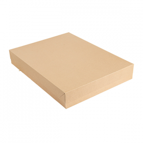 PLATEAUX + COUVERCLE "THEPACK" 290 G/M2 40,5x30,5x6 CM NATUREL CARTON ONDULÉ MICROCANAL (150 UNITÉ) - Garcia de Pou