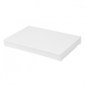 COUVERCLES SANS FENÊTRE POUR BOÎTES 254.71 "THEPACK" 250 G/M2 22x15x2 CM BLANC CARTON ONDULÉ NANO-MICRO (50 UNITÉ) - Garcia de Pou