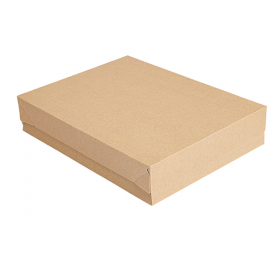 PLATEAUX + COUVERCLE "THEPACK" 240 G/M2 19,5x11x4,5 CM NATUREL CARTON ONDULÉ NANO-MICRO (200 UNITÉ) - Garcia de Pou