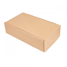 COFFRETS 2 BOUTEILLES THEPACK  34x18,5x9 CM NATUREL CARTON MICROCANAL (50 UNITÉ)
