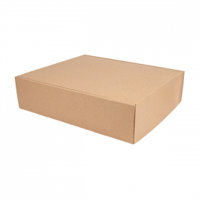 COFFRETS 3 BOUTEILLES THEPACK  34x28x9 CM NATUREL CARTON MICROCANAL (30 UNITÉ)