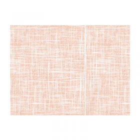 SETS DE TABLE "SPUNBOND" 60 G/M2 30x40 CM TERRACOTE PP (800 UNITÉ)
