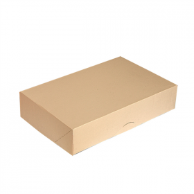 BOÎTES CATERING, PLATE THEPACK  34x25x6 CM NATUREL CARTON NANO-MICRO (100 UNITÉ)