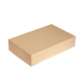 BOÎTES CATERING, PLATE THEPACK  42x28x6 CM NATUREL CARTON NANO-MICRO (100 UNITÉ)