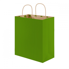 SACS SOS AVEC ANSES - INT. "À POIS"  80 G/M2 26+14x32 CM VERT KRAFT (250 UNITÉ) - Garcia de Pou