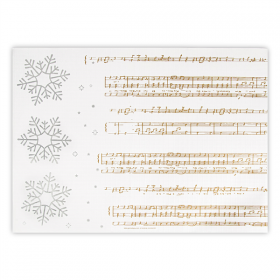 SETS DE TABLE "SNOW" 48 G/M2 31x43 CM BLANC CELLULOSE (2000 UNITÉ) - Garcia de Pou