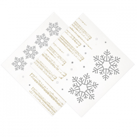 SERVIETTES "DOUBLE POINT" "SNOW" 18 G/M2 40x40 CM BLANC OUATE (1200 UNITÉ) - Garcia de Pou