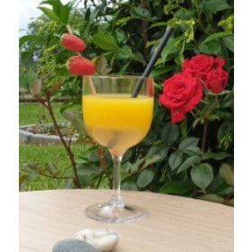 Verre Piscine Incassable et Réutilisable en Tritan 26 cl