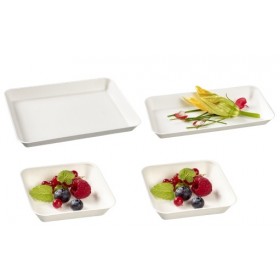 Kit des 200 raviers kanopée blanc avec couv. pour 50 plateaux repas