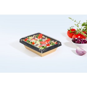 Boite carton Luxifood 850cc