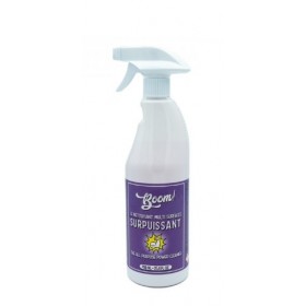 Spray Nettoyant multi-surfaces surpuissant 750 ml