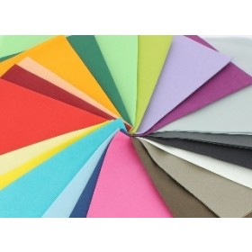 SERVIETTE DOUBLE POINT - 2 plis molletonnée