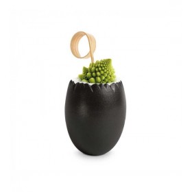 Verrine plastique oeuf originale