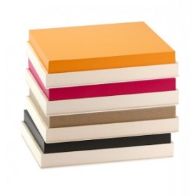 COUVERCLE EN CARTON "COULEURS AUX CHOIX" POUR PLATEAU REPAS