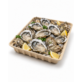 Plateau biodegradable 32 x 25 x 4 cm