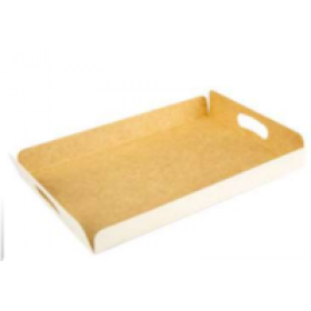 PLATEAU TRAITEUR 28x42cm LEBIOTECH AVEC POIGNEES