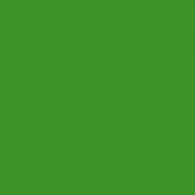 SERVIETTES PAPIER  NON TISSE VERT SAPIN 40x40