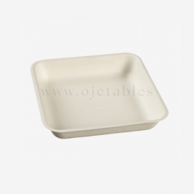 Assiette carrée pulpe de canne 192x192x35 mm